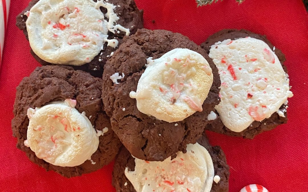 Hot Cocoa Cookies with Crushed Peppermint